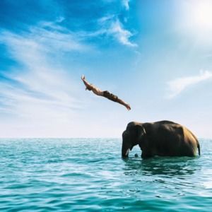 Meet your Posher, Kristine